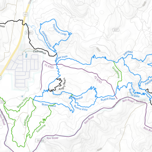 Screenshot 2026-08-21 120434 Wood Cutout Show Low Az Trail Map - Custom Made